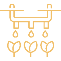 Drip Irrigation